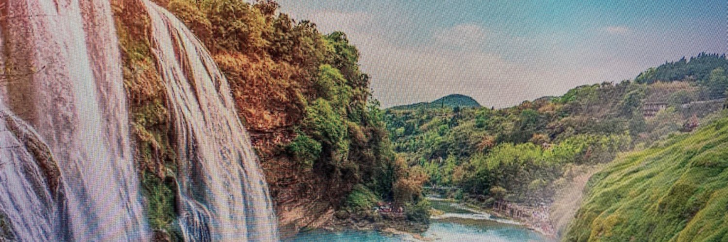 Magenxbbq's profile banner image