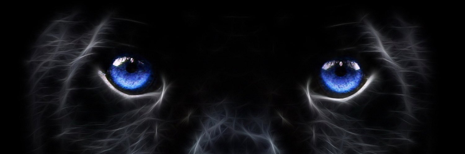 TruResister's profile banner image