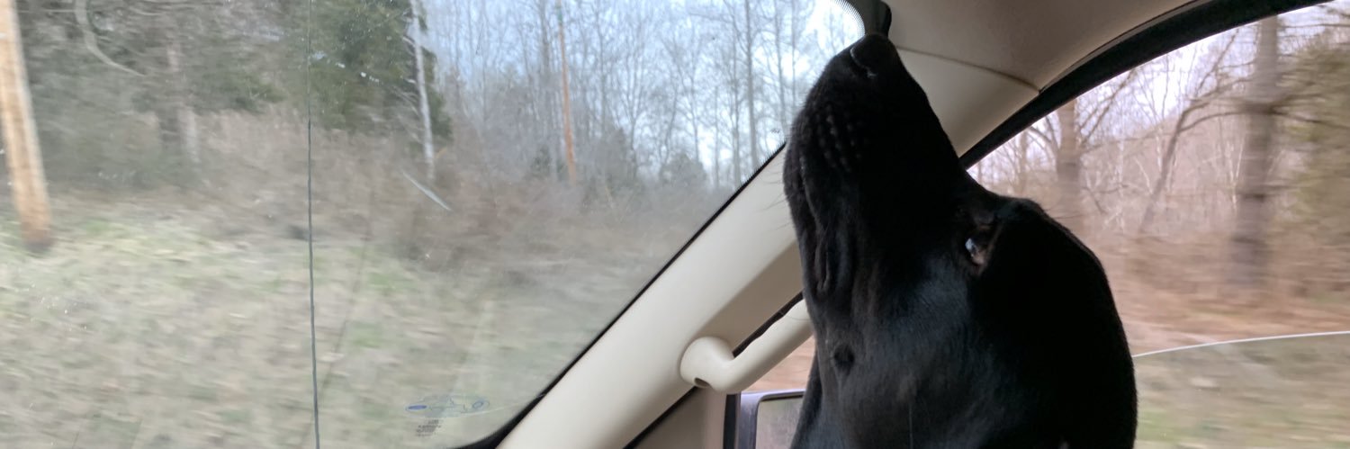 mkwoods's profile banner image