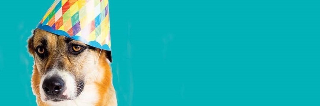HighOpTheatre's profile banner image