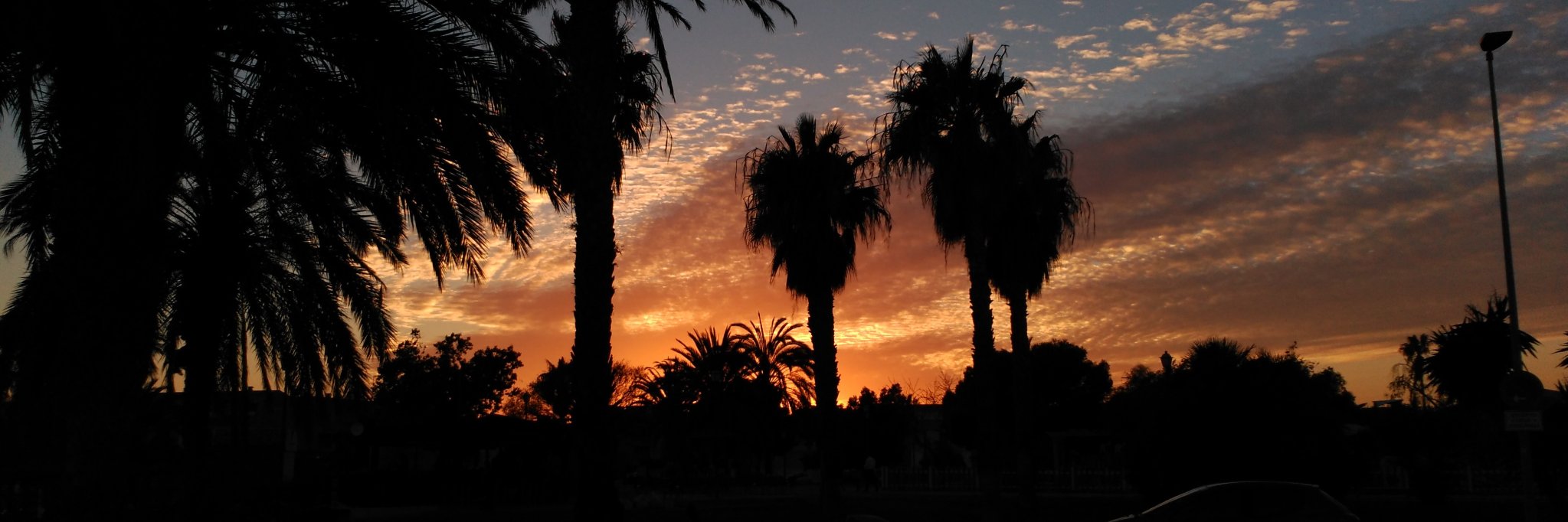 costacalidaM's profile banner image