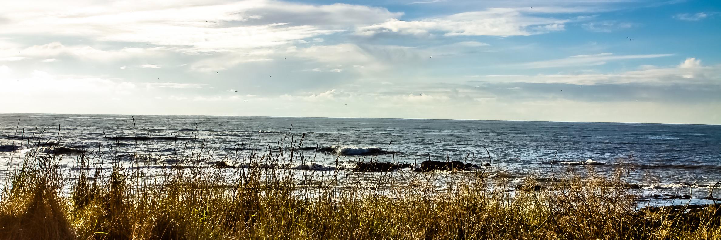 Couillon Alexandre banner