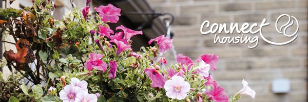 HelenLConnect Profile Banner