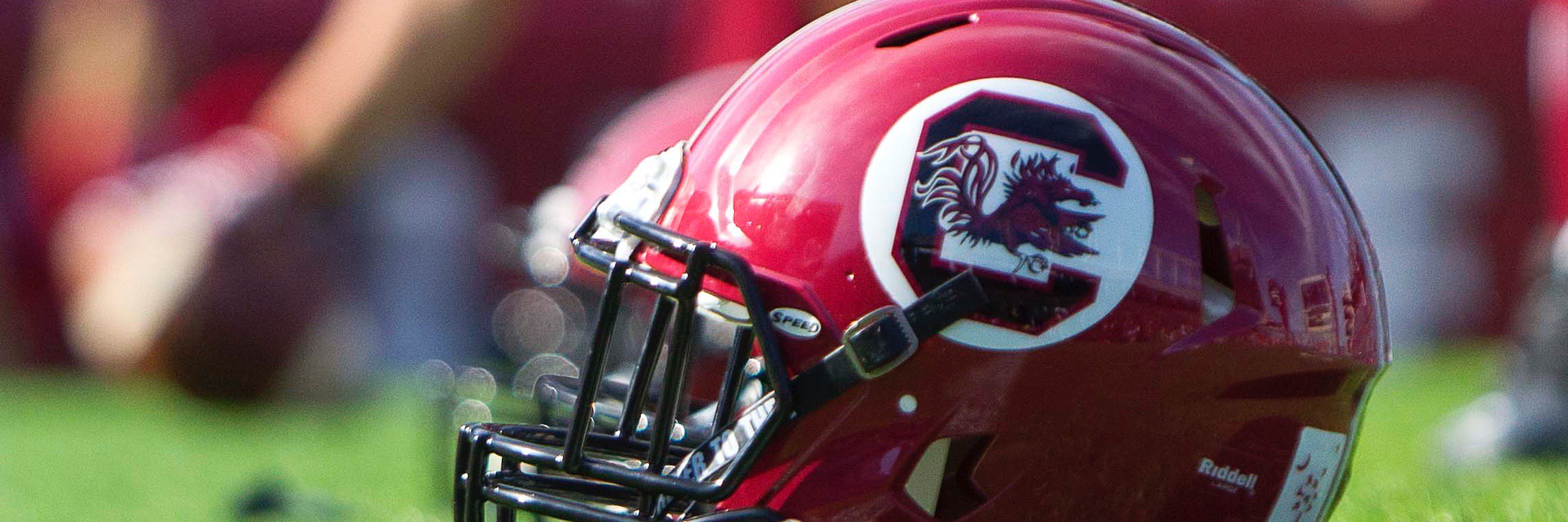 USC Gamecocks on SDS banner