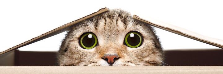 cocomaru 感謝！後ほどご挨拶させていただきます。 banner