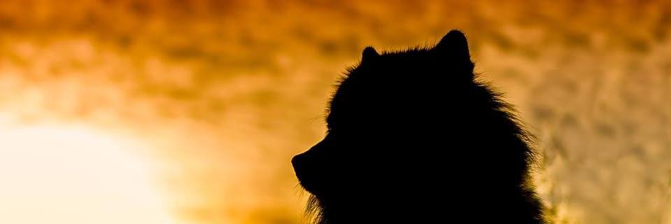 Tine2205's profile banner image