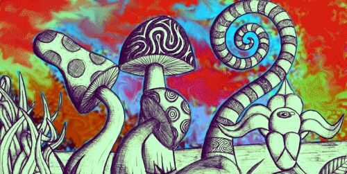 MariaOrtu9's profile banner image