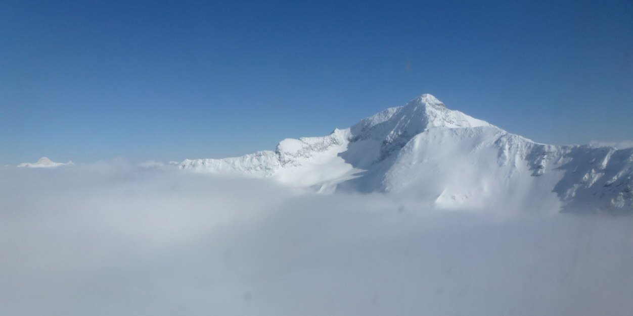 Paul Callingham banner