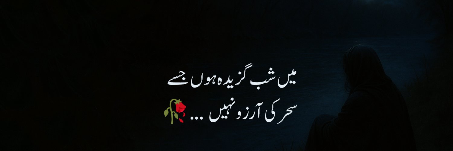 ShabGazida's profile banner image