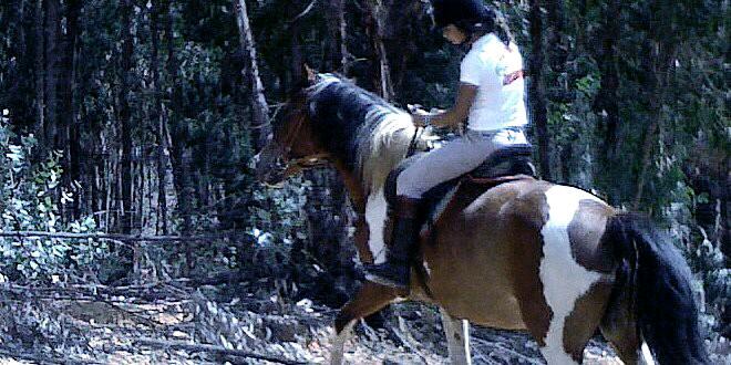 CuchiAranda7's profile banner image