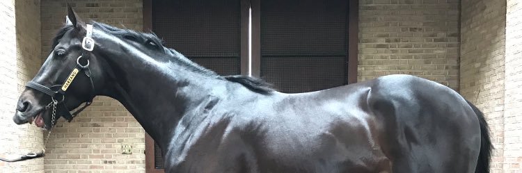 tomgmor's profile banner image