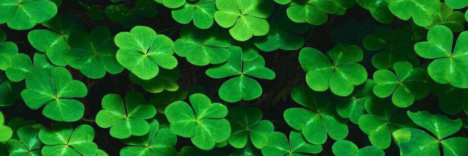 SheilaTigert's profile banner image