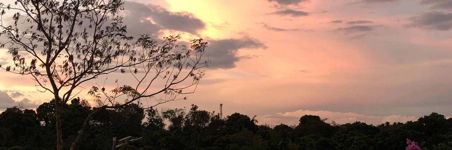_ceristina's profile banner image