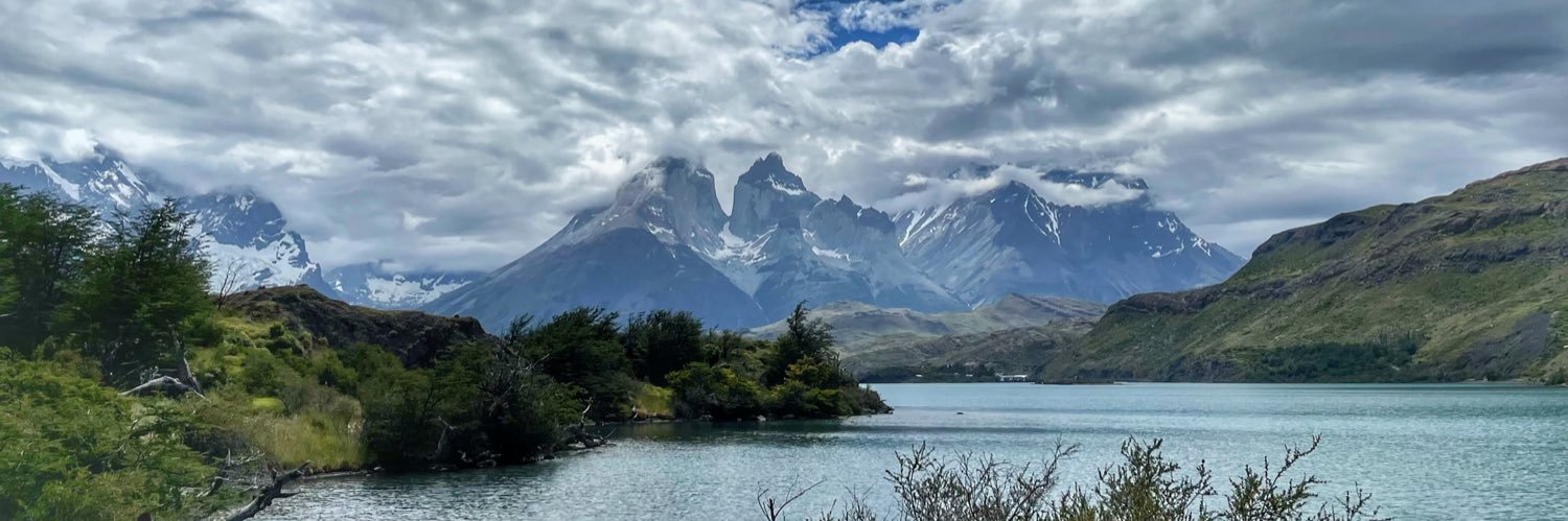 Erwin Moenne-Loccóz banner