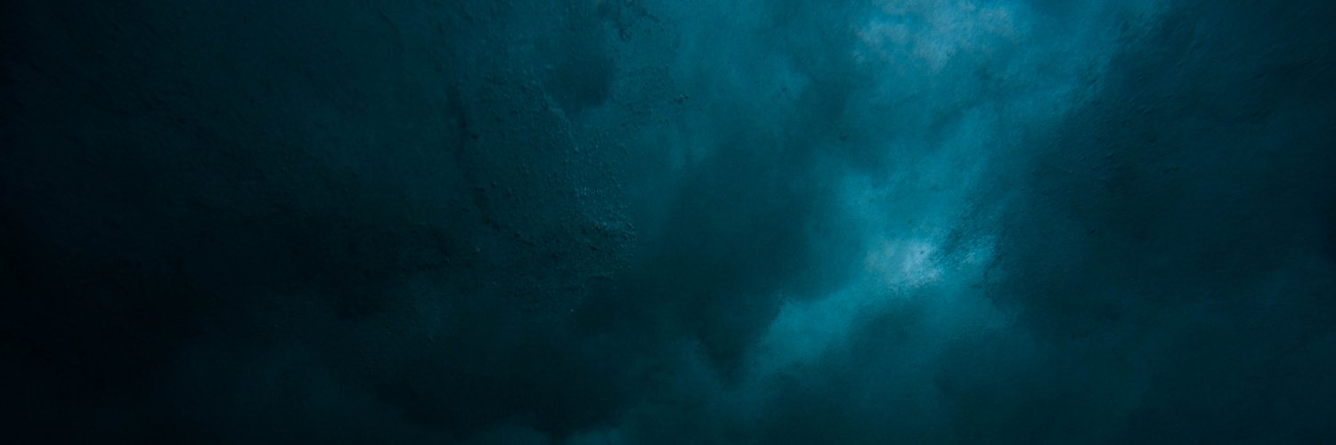 joydahforever's profile banner image