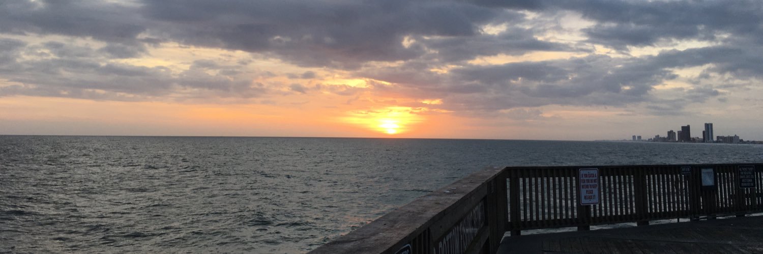 karikarnes1's profile banner image