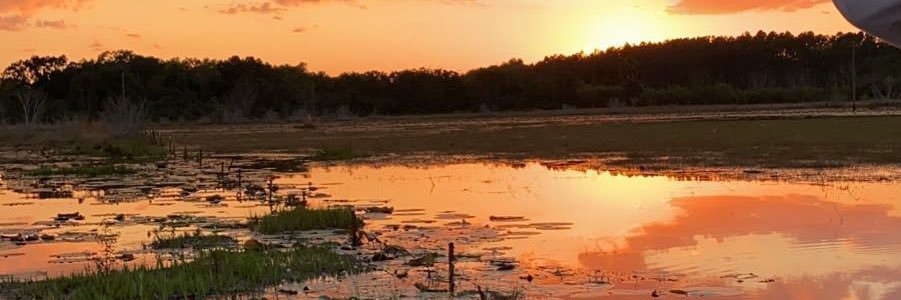 ryansteiner1's profile banner image
