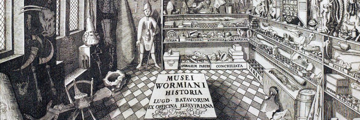 M. Terentius Varro banner