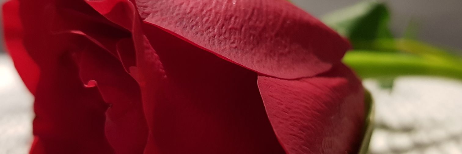 mmaskary's profile banner image