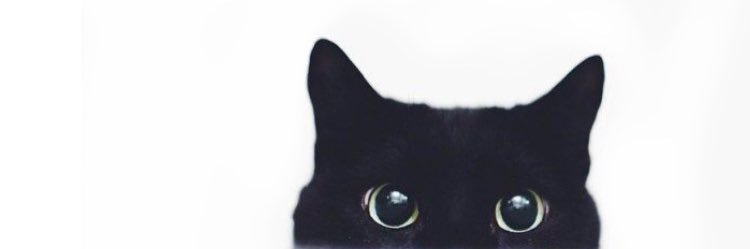 gaumatos's profile banner image