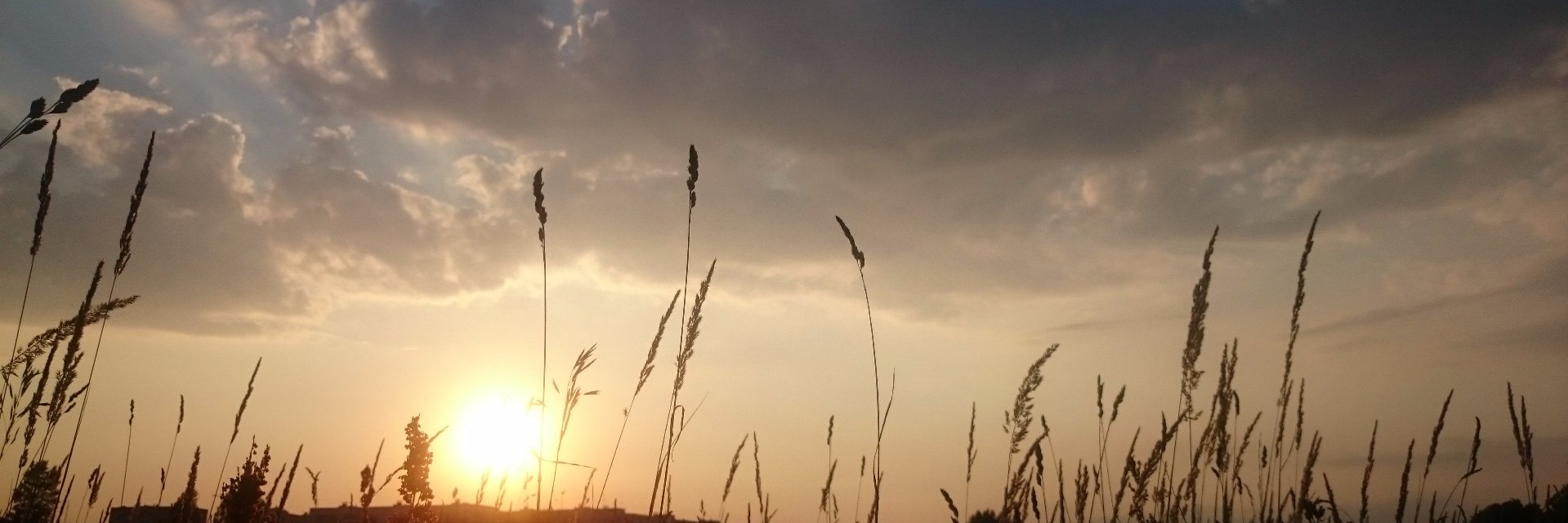 julia_harts's profile banner image