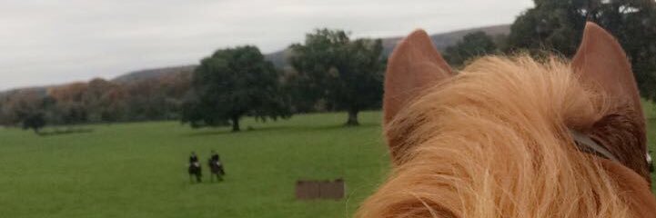 Ruth Farrell banner