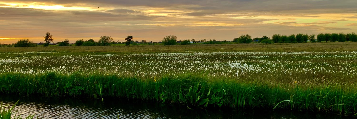 ℝ𝕠𝕓𝕖𝕣𝕥 𝕁. ℕ𝕠𝕥𝕖𝕓𝕠𝕠𝕞 Ⓡ banner