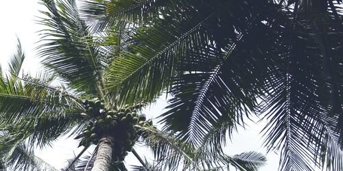 xfemkeboonstra's profile banner image