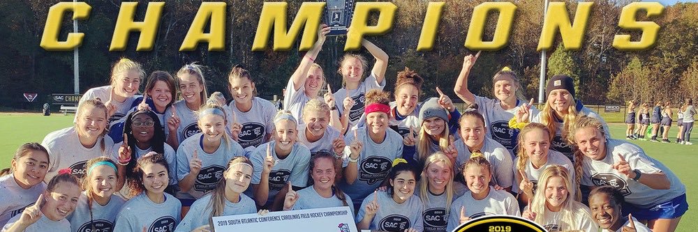 Limestone Field Hockey ⚜️ banner