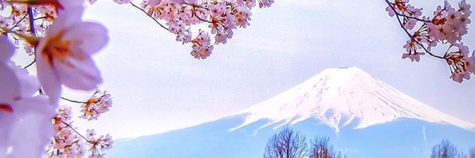 StepheMERCIER's profile banner image