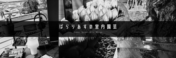 BRLias Profile Banner