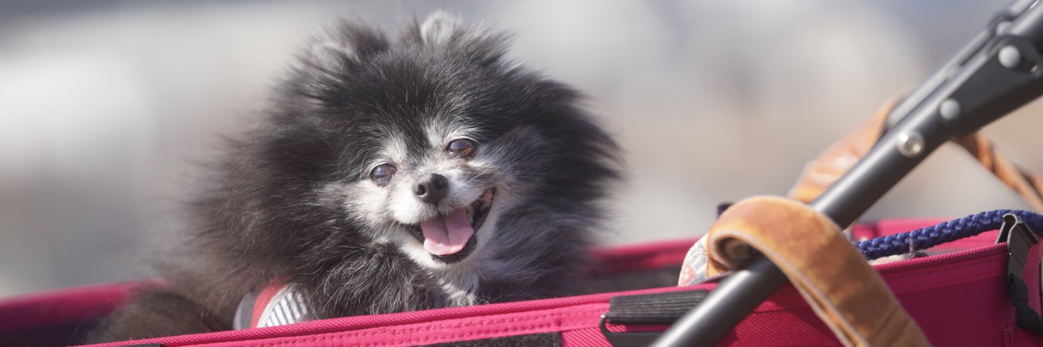 🌾米粉めこ🌾 banner