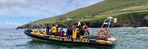 Dingle Sea Safari Profile Banner