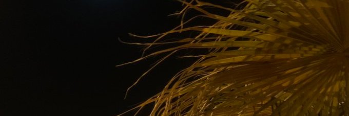 عـبير🕊 banner