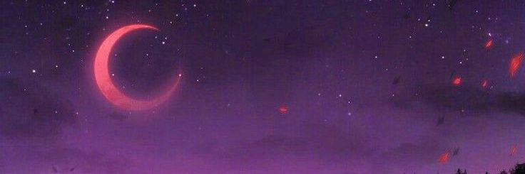 MoonMargoliner's profile banner image