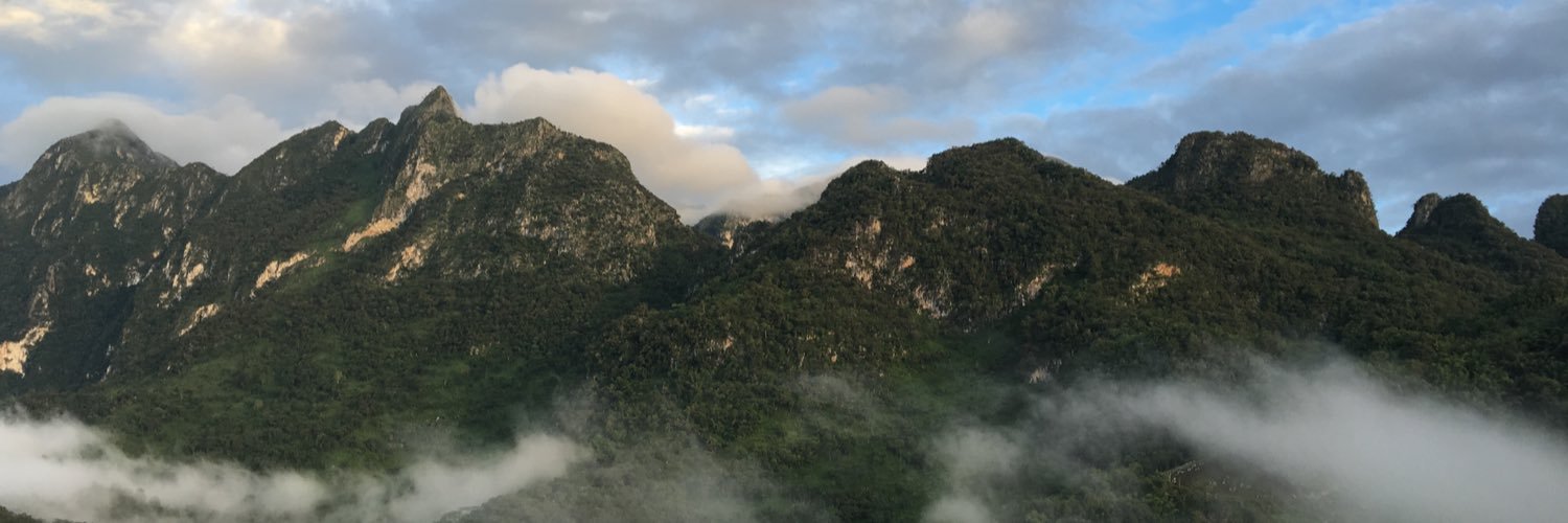 Beerybit's profile banner image