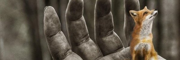 lauramcc66's profile banner image