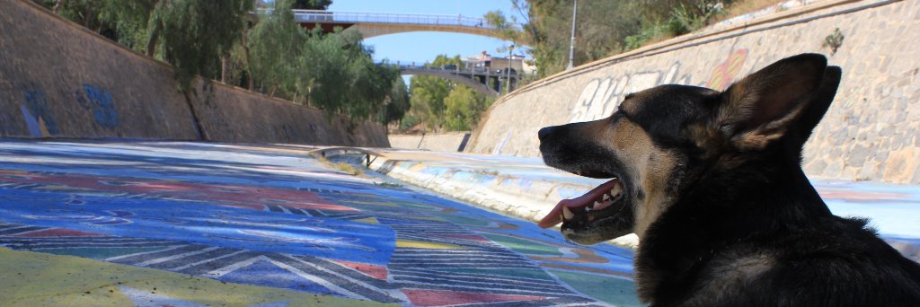 PanchoMichelli's profile banner image