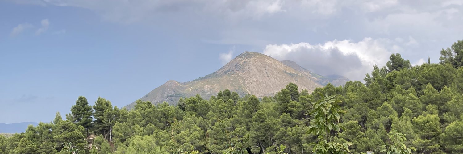 brmontiel's profile banner image