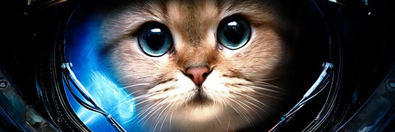 PopcornKnees's profile banner image