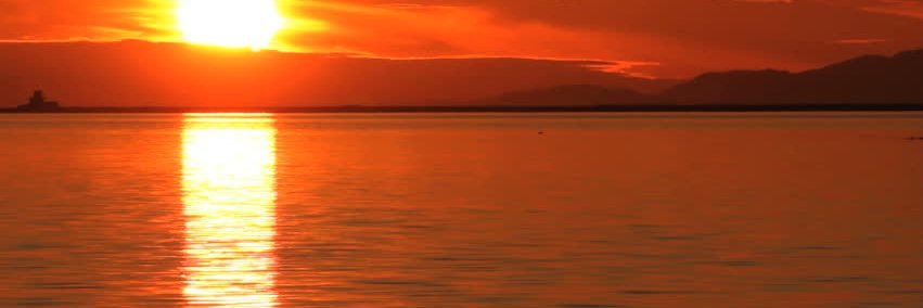 Joseph Ravick banner