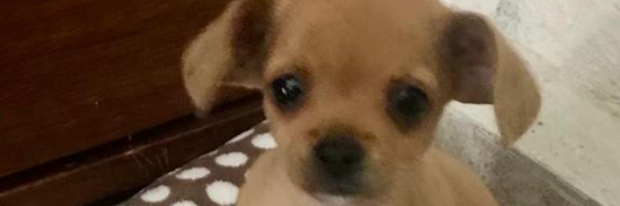 michellear12's profile banner image