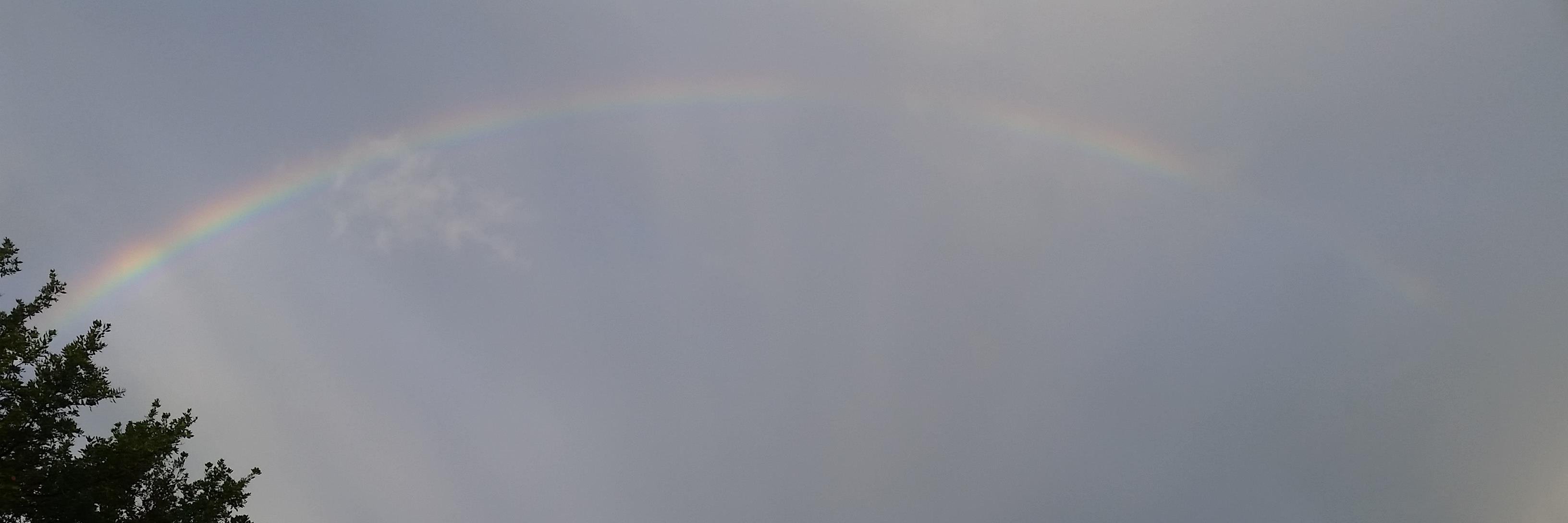 Dawn Pelon banner