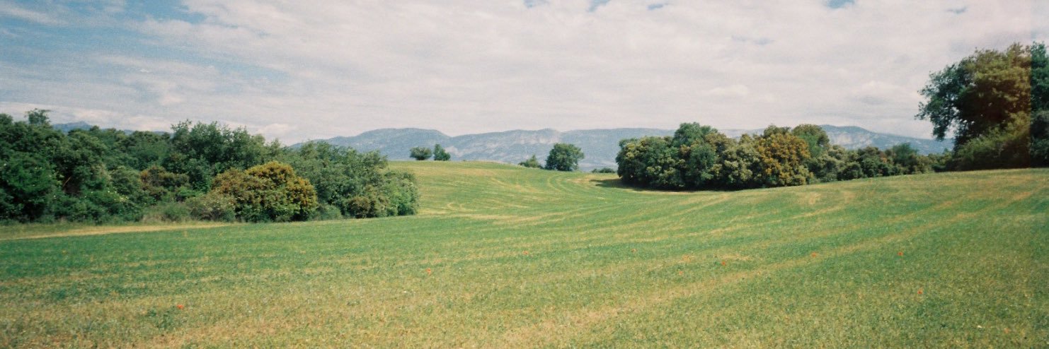 winoochi's profile banner image