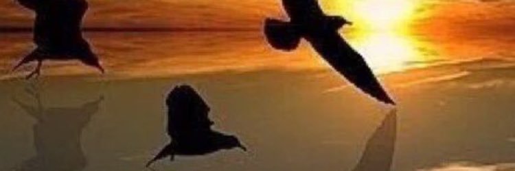 noralbyraq's profile banner image