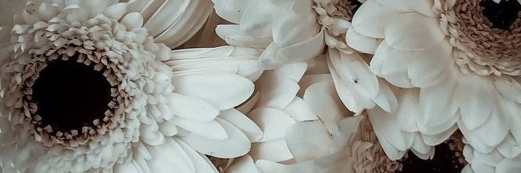 TreenaNault's profile banner image