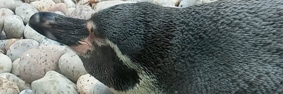 LauraGD09's profile banner image
