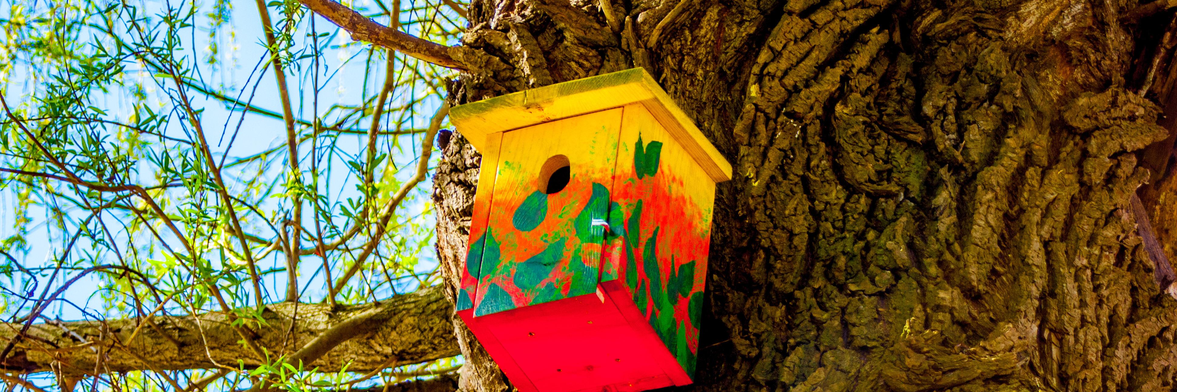 Boris Gonschorek banner