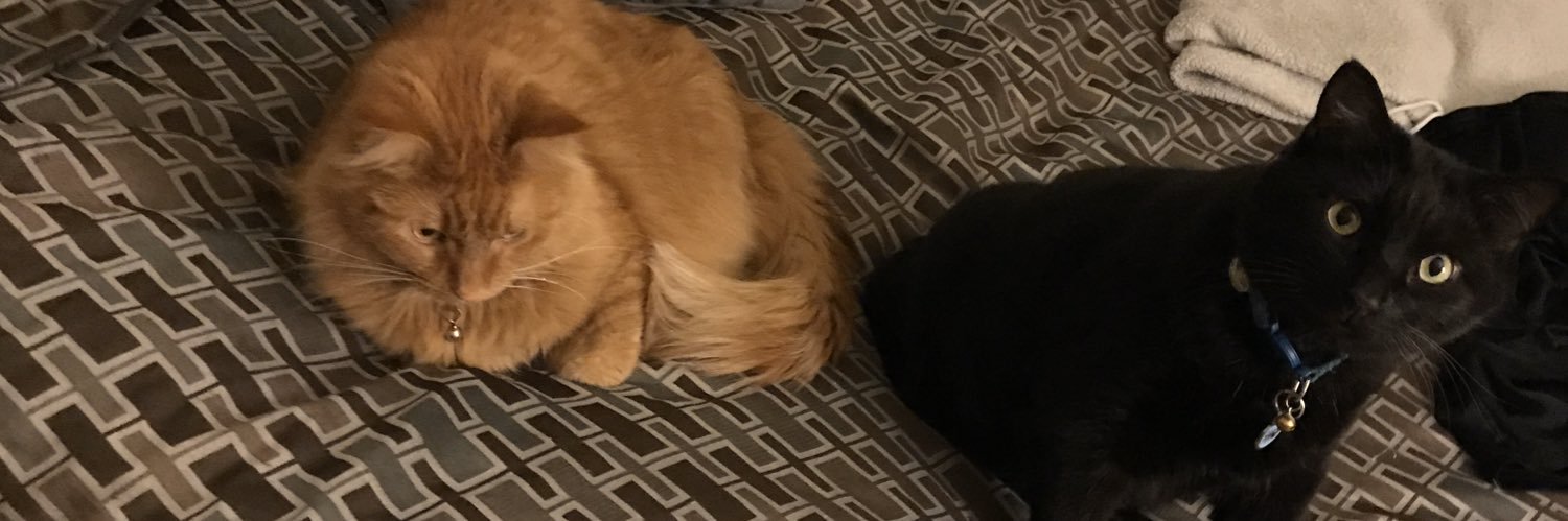 Pat_Yo_Weave's profile banner image