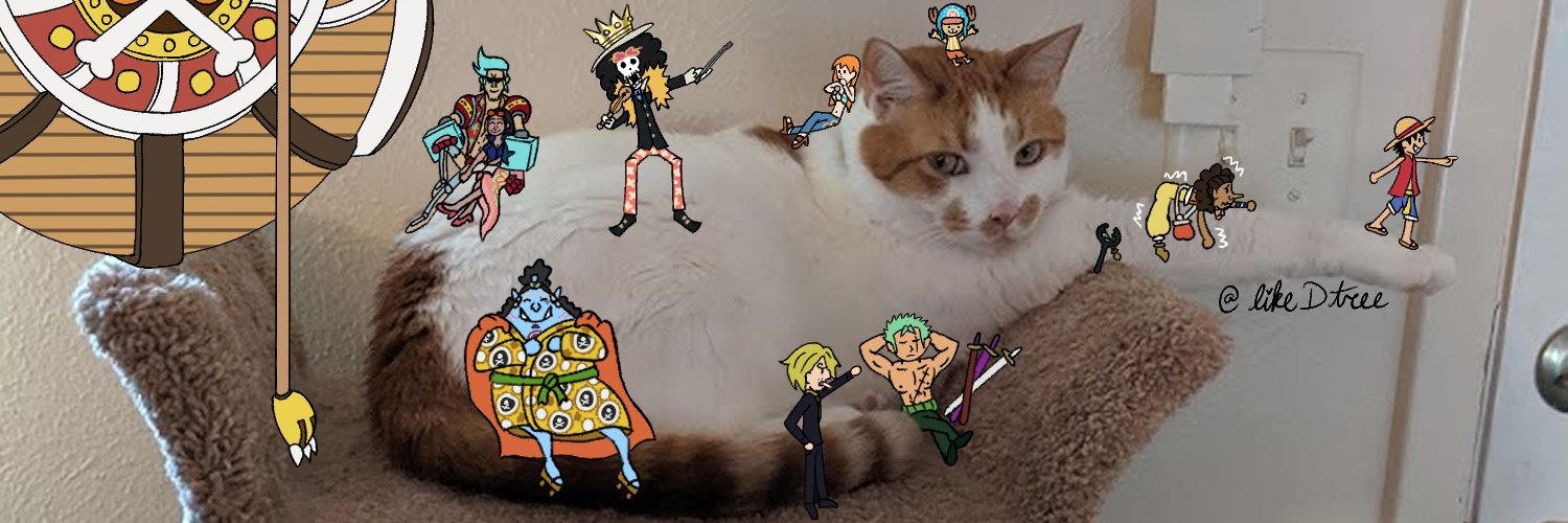 likeDtree's profile banner image